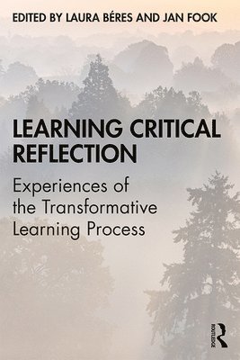 Learning Critical Reflection 1