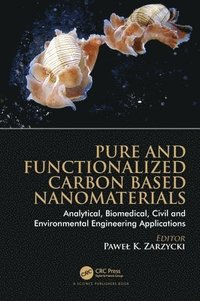 bokomslag Pure and Functionalized Carbon Based Nanomaterials
