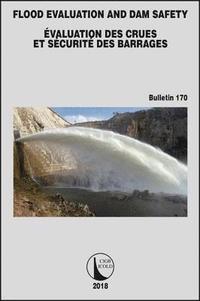 bokomslag Flood Evaluation and Dam Safety