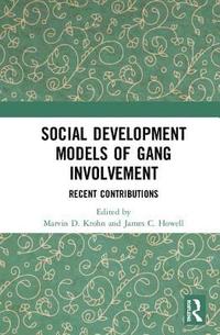 bokomslag Social Development Models of Gang Involvement
