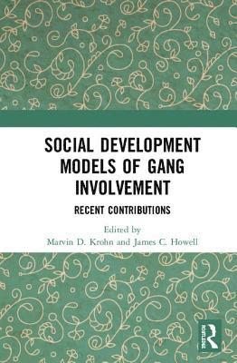 bokomslag Social Development Models of Gang Involvement