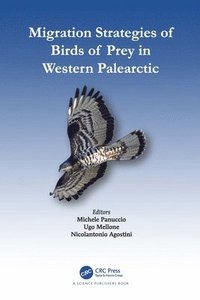 bokomslag Migration Strategies of Birds of Prey in Western Palearctic