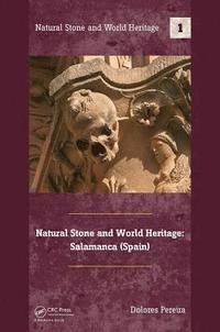bokomslag Natural Stone and World Heritage