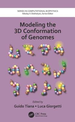 Modeling the 3D Conformation of Genomes 1