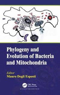 bokomslag Phylogeny and Evolution of Bacteria and Mitochondria