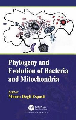 bokomslag Phylogeny and Evolution of Bacteria and Mitochondria