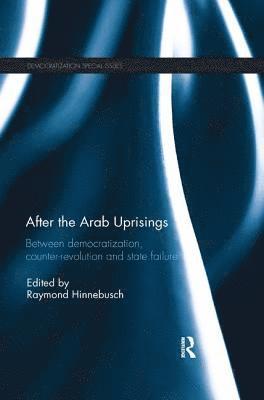 bokomslag After the Arab Uprisings