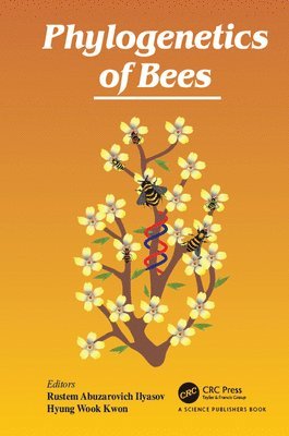 bokomslag Phylogenetics of Bees