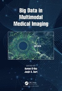 bokomslag Big Data in Multimodal Medical Imaging