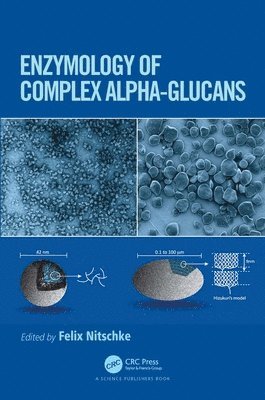 bokomslag Enzymology of Complex Alpha-Glucans
