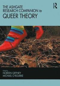 bokomslag The Ashgate Research Companion to Queer Theory