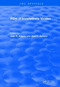 bokomslag Revival: Atlas of Invertebrate Viruses (1991)