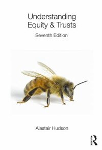 bokomslag Understanding Equity & Trusts