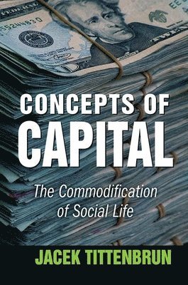 bokomslag Concepts of Capital
