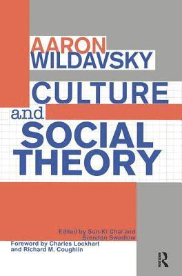 Aaron Wildavsky - Culture and Social Theory, Häftad