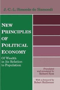 bokomslag New Principles of Political Economy