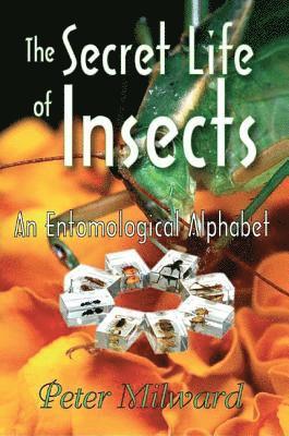 The Secret Life of Insects 1