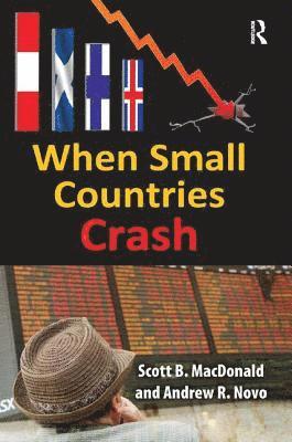 bokomslag When Small Countries Crash