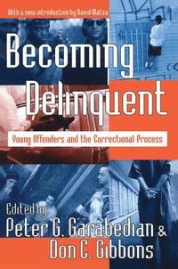 bokomslag Becoming Delinquent