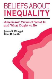 bokomslag Beliefs about Inequality