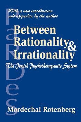 bokomslag Between Rationality and Irrationality