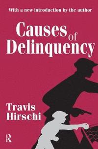 bokomslag Causes of Delinquency