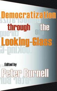 bokomslag Democratization Through the Looking-glass