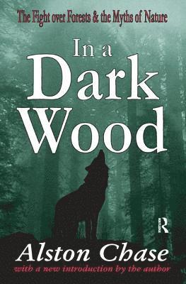 bokomslag In a Dark Wood