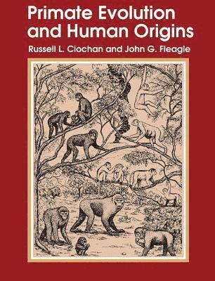 bokomslag Primate Evolution and Human Origins
