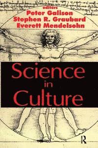 bokomslag Science in Culture