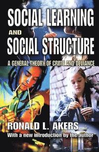 bokomslag Social Learning and Social Structure