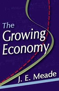 bokomslag The Growing Economy