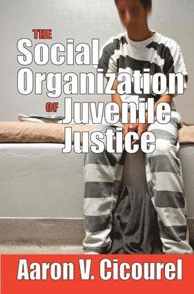 bokomslag Social Organization of Juvenile Justice