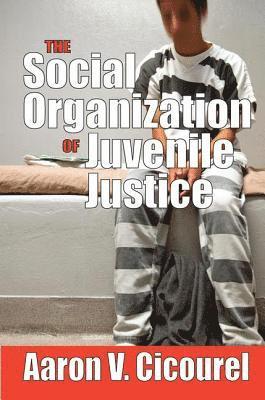 bokomslag The Social Organization of Juvenile Justice