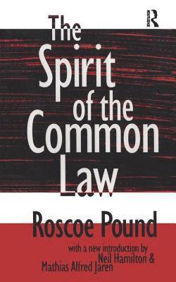 bokomslag The Spirit of the Common Law