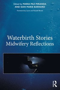 bokomslag Waterbirth Stories