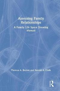 bokomslag Assessing Family Relationships