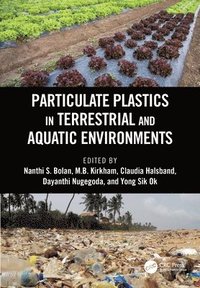 bokomslag Particulate Plastics in Terrestrial and Aquatic Environments
