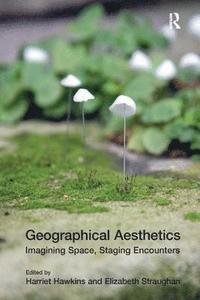 bokomslag Geographical Aesthetics