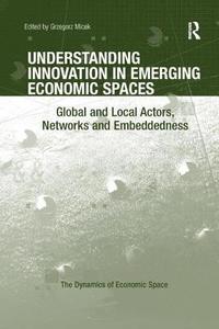 bokomslag Understanding Innovation in Emerging Economic Spaces