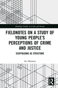 bokomslag Fieldnotes on a Study of Young Peoples Perceptions of Crime and Justice