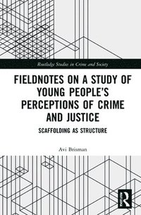 bokomslag Fieldnotes on a Study of Young People's Perceptions of Crime and Justice