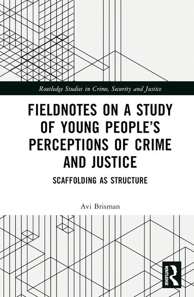 Avi Brisman - Fieldnotes on a Study of Young People’s Perceptions of Crime and Justice, Inbunden