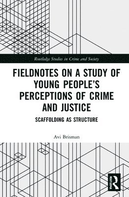 bokomslag Fieldnotes on a Study of Young People's Perceptions of Crime and Justice