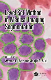 bokomslag Level Set Method in Medical Imaging Segmentation