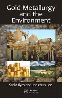bokomslag Gold Metallurgy and the Environment