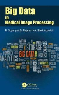 bokomslag Big Data in Medical Image Processing