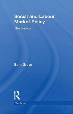 bokomslag Social and Labour Market Policy