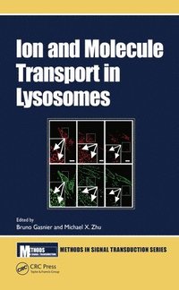 bokomslag Ion and Molecule Transport in Lysosomes
