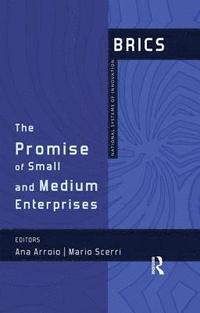 bokomslag The Promise of Small and Medium Enterprises